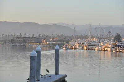 DSC_7301 (Large).JPG